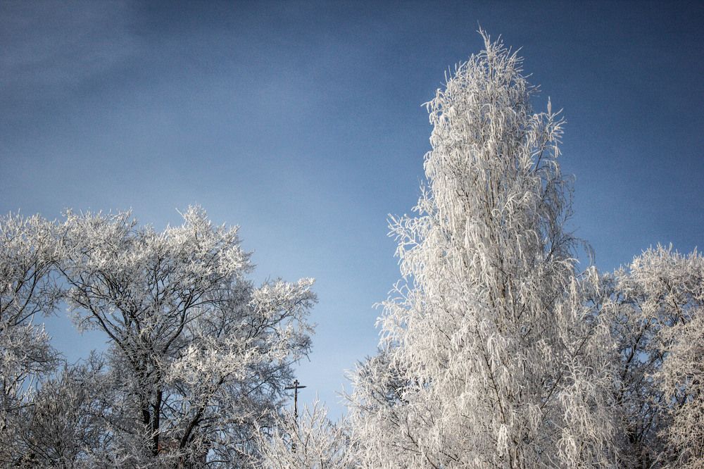 Фотография автора Михаил