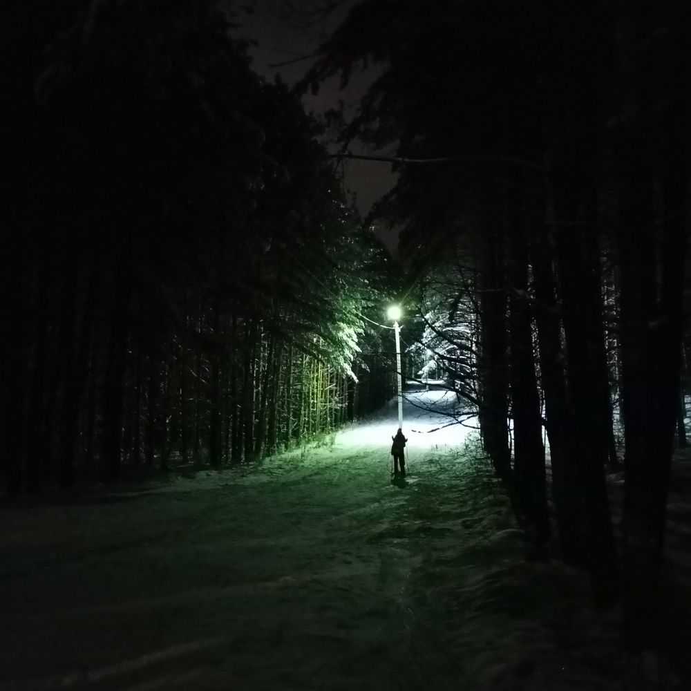 Photo #7039332