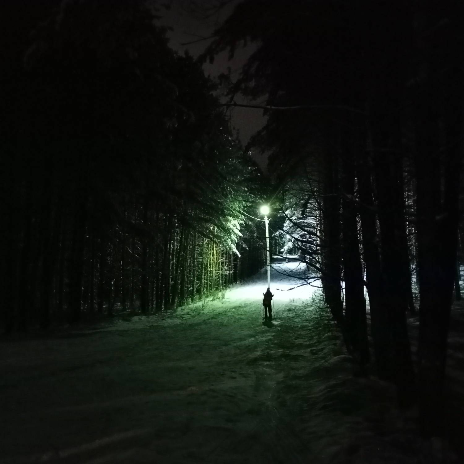 Photo #7039332
