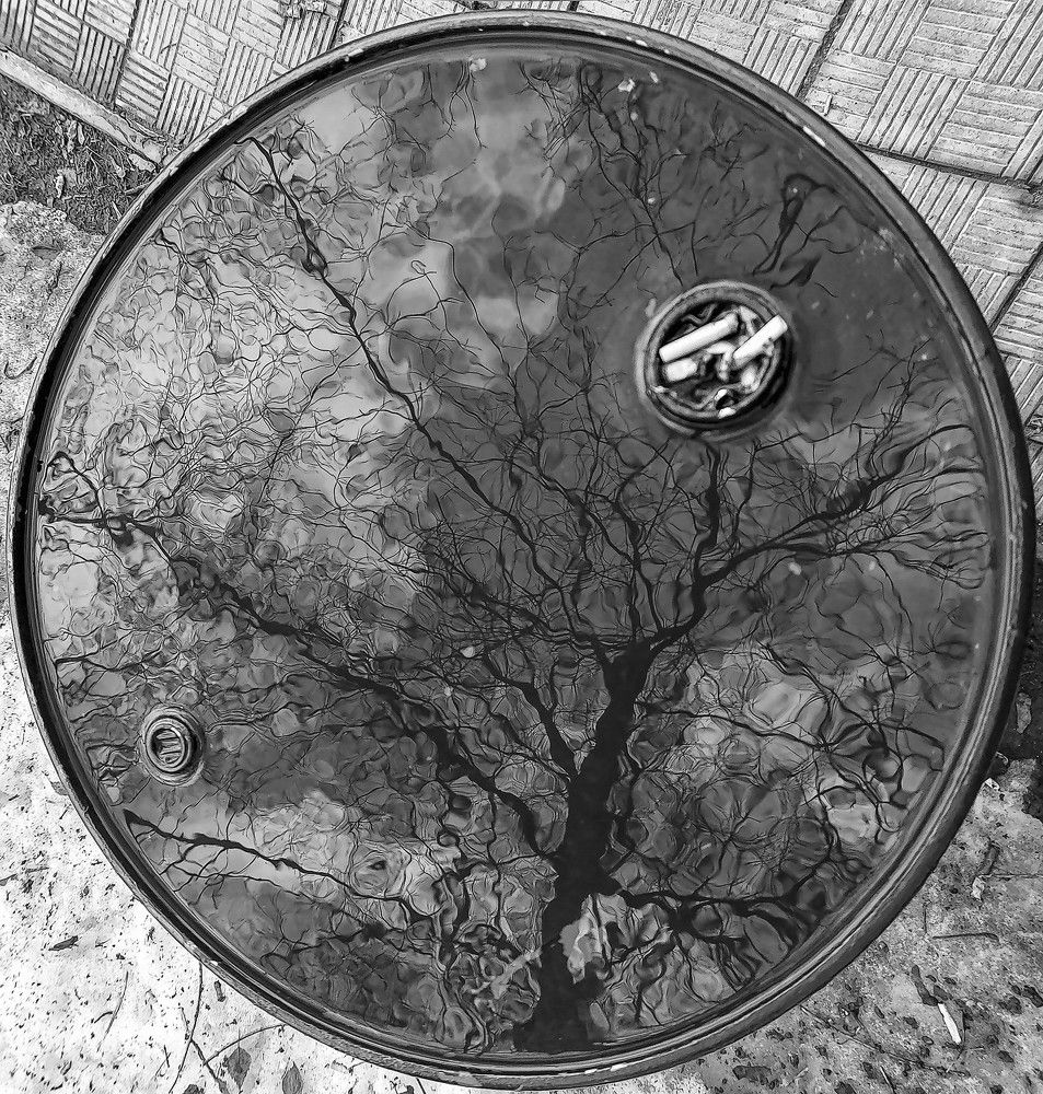 круг в квадрате