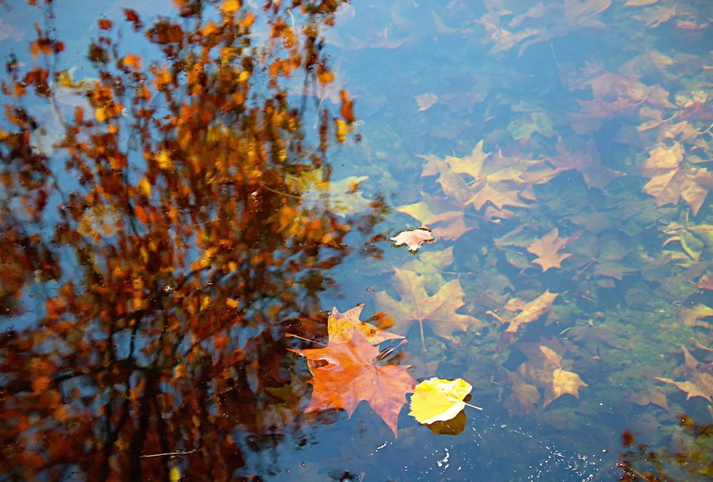 Photograph by Irina Radzinskaya