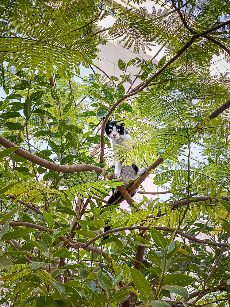 Photograph by Jayakumar MN