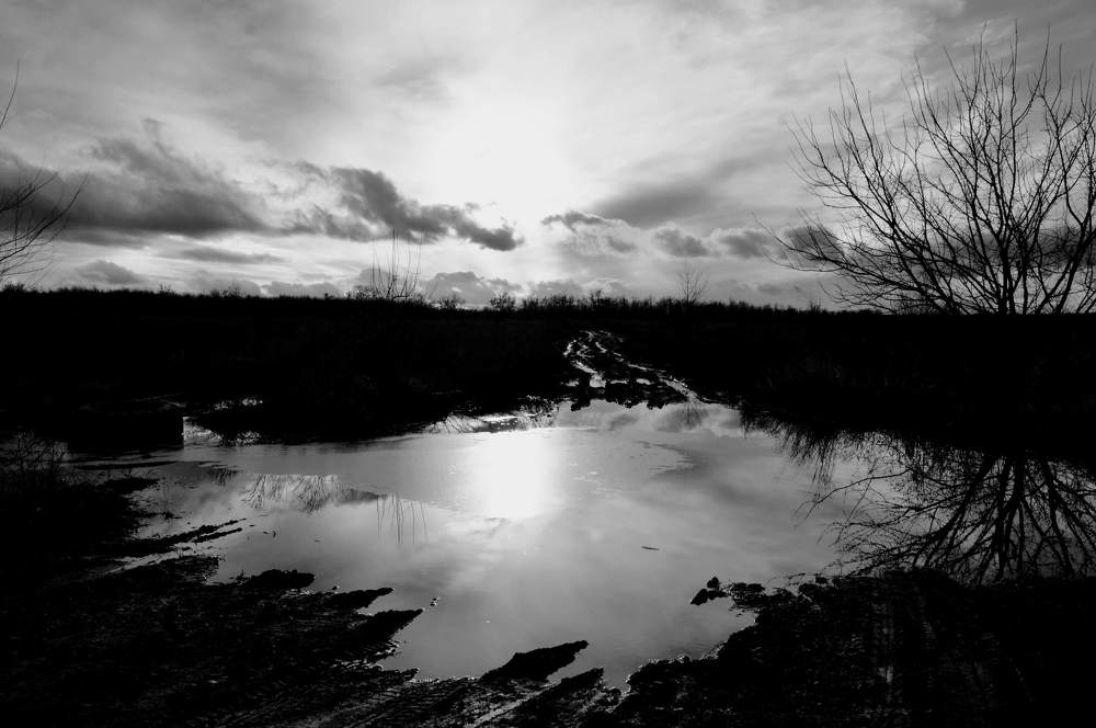 Photograph by Мхитарян Карен