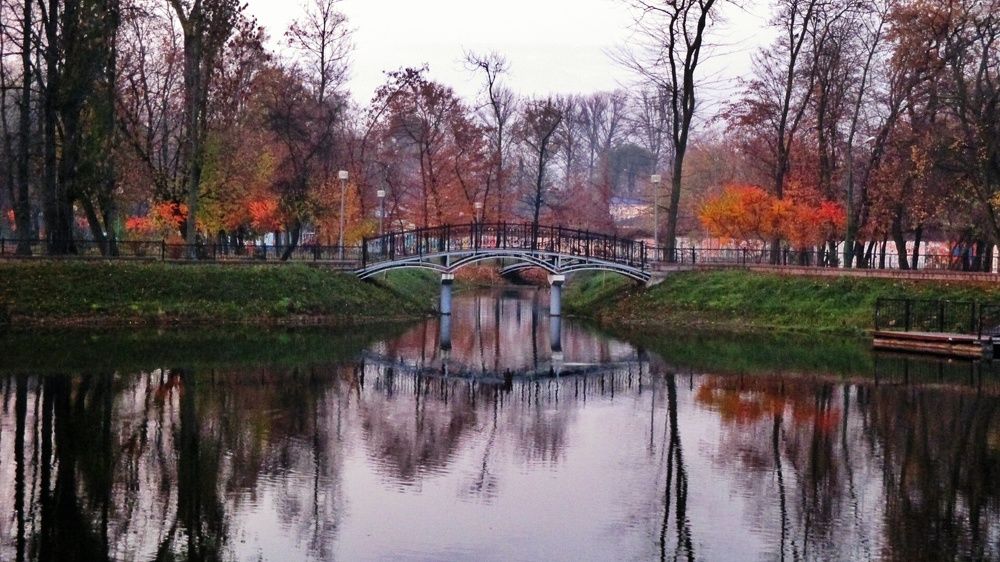 Фотография автора Дана Богинская