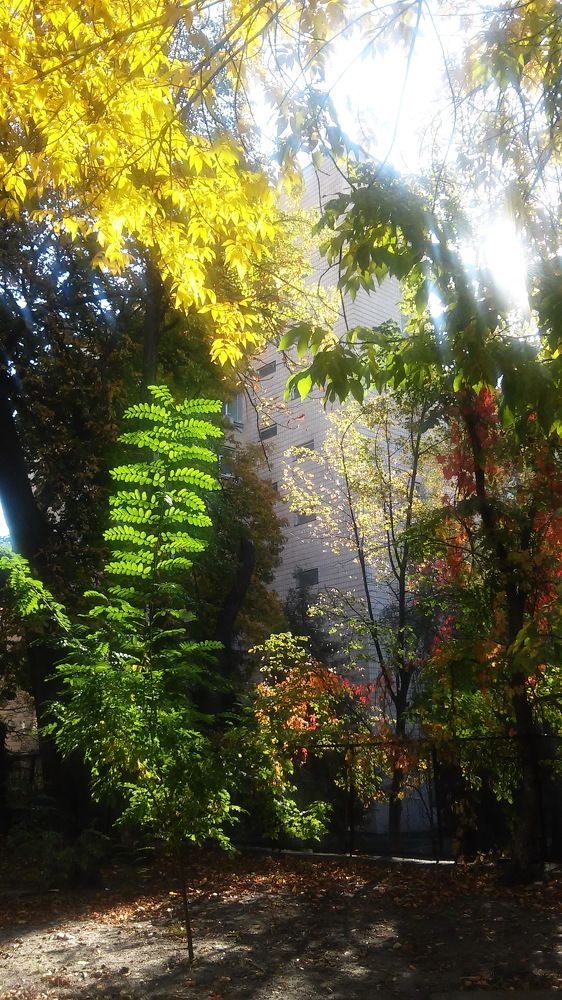 Photograph by Аркадий Пекер