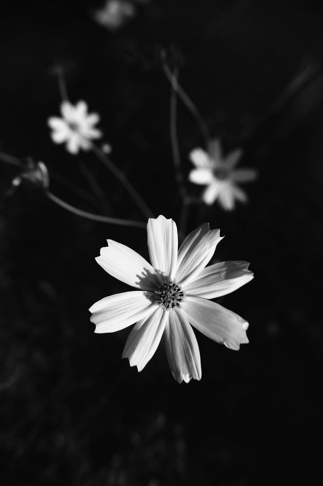 Photograph by Natalya Chumak