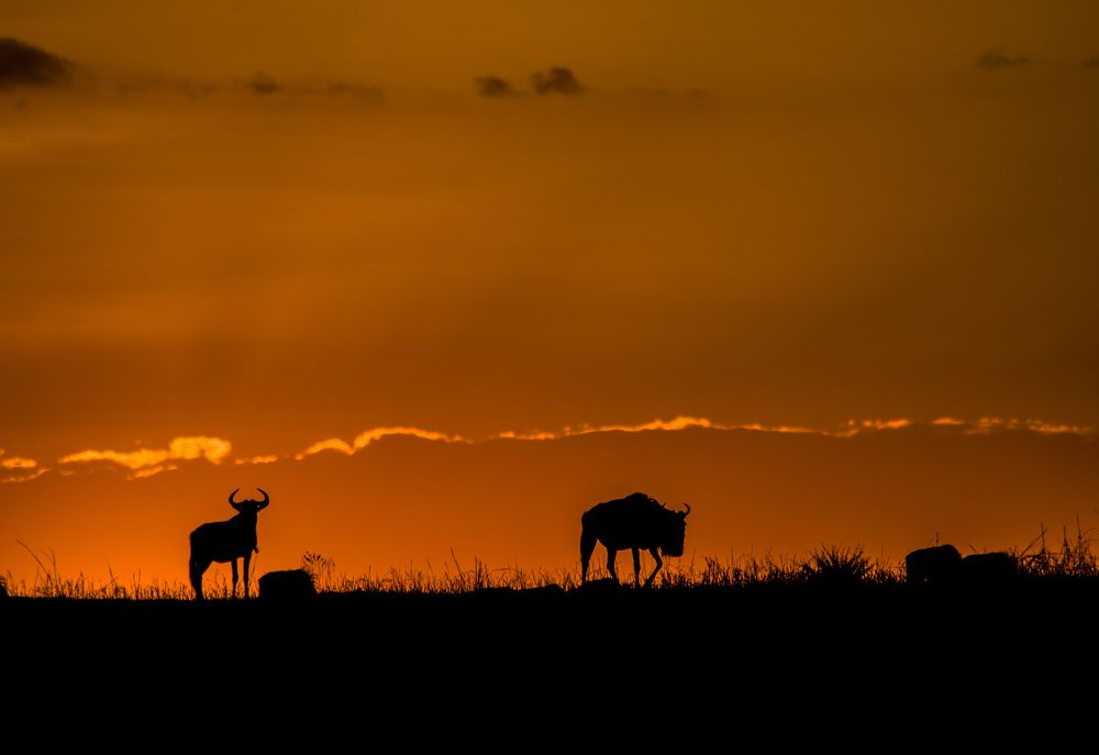 Photograph by Murad Rajabali Habib