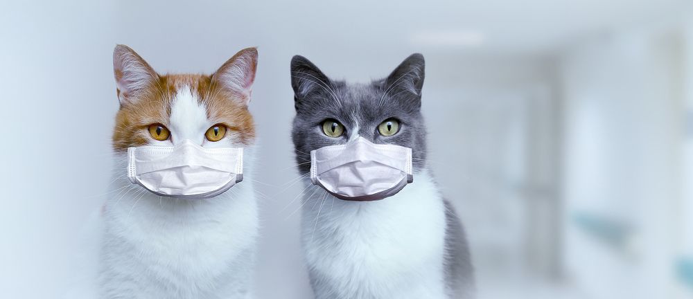 Photograph by Natalya Chumak