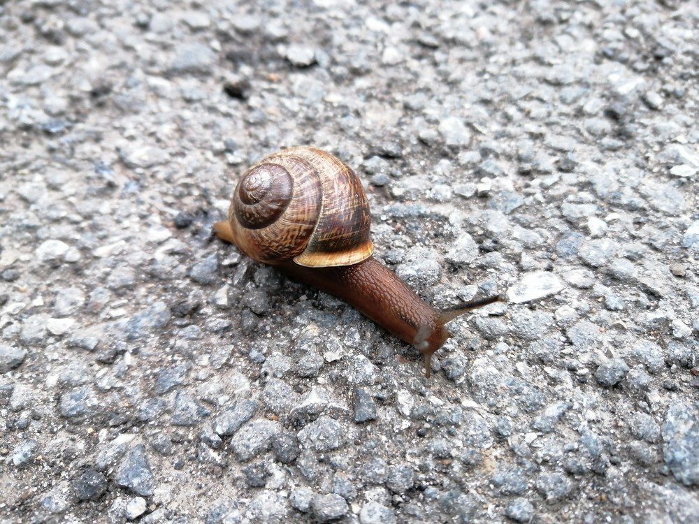 Фотография автора Иван Кириллов