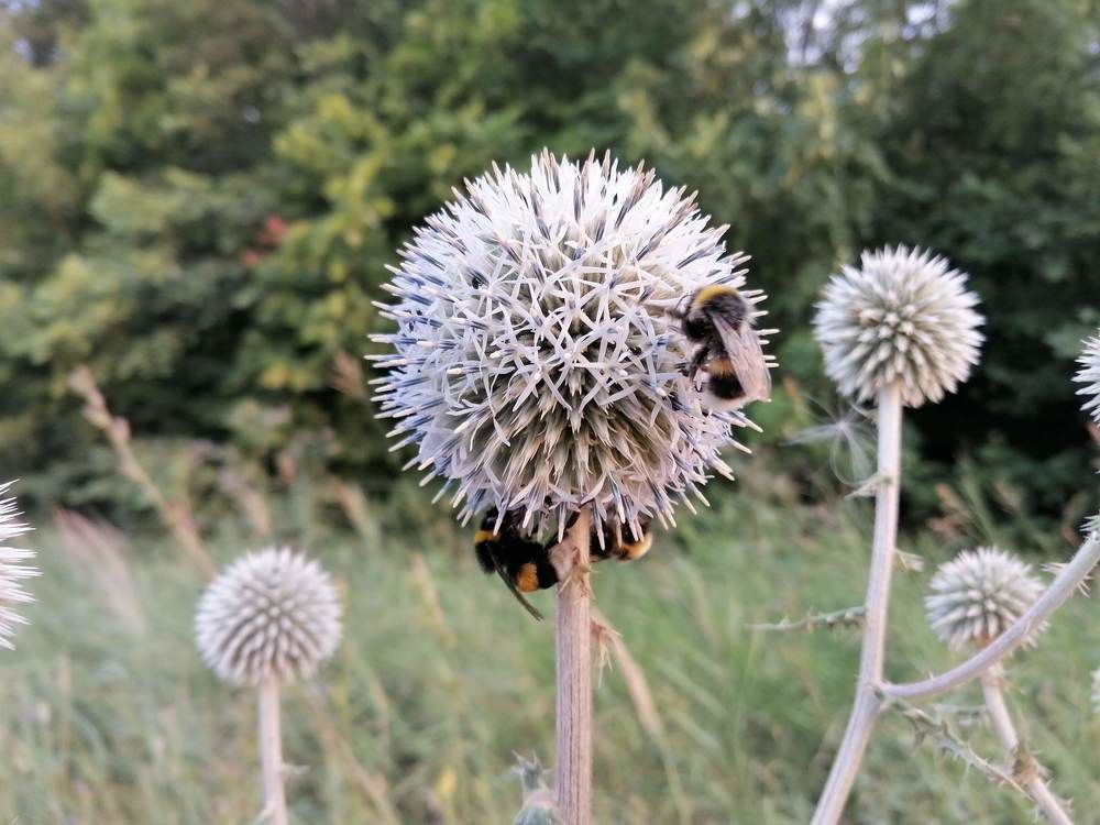 Фотография автора Иван Кириллов