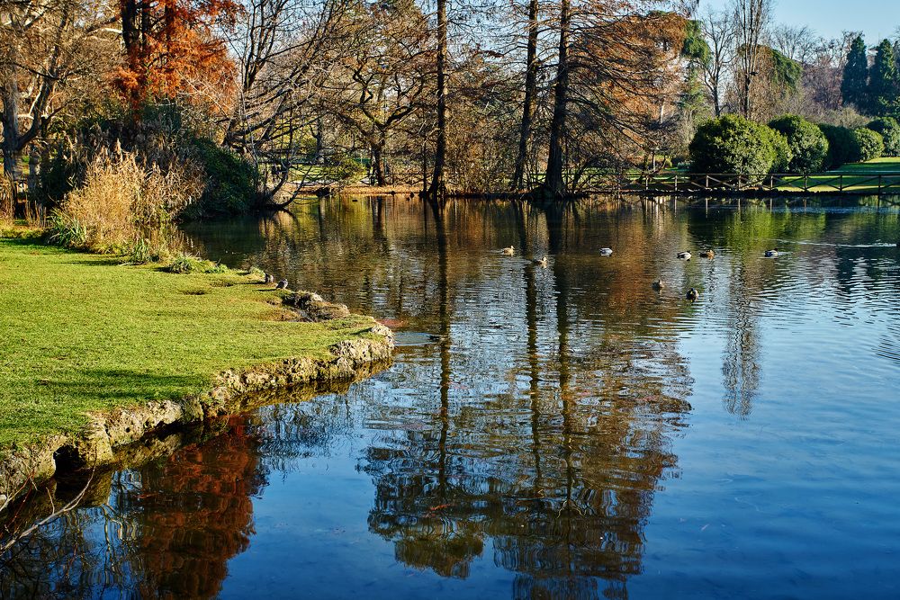 Photograph by Марк Шлеймович