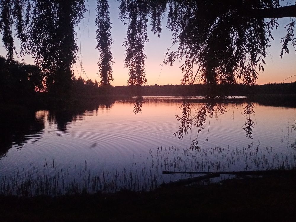 Photograph by Михаил Царикевич