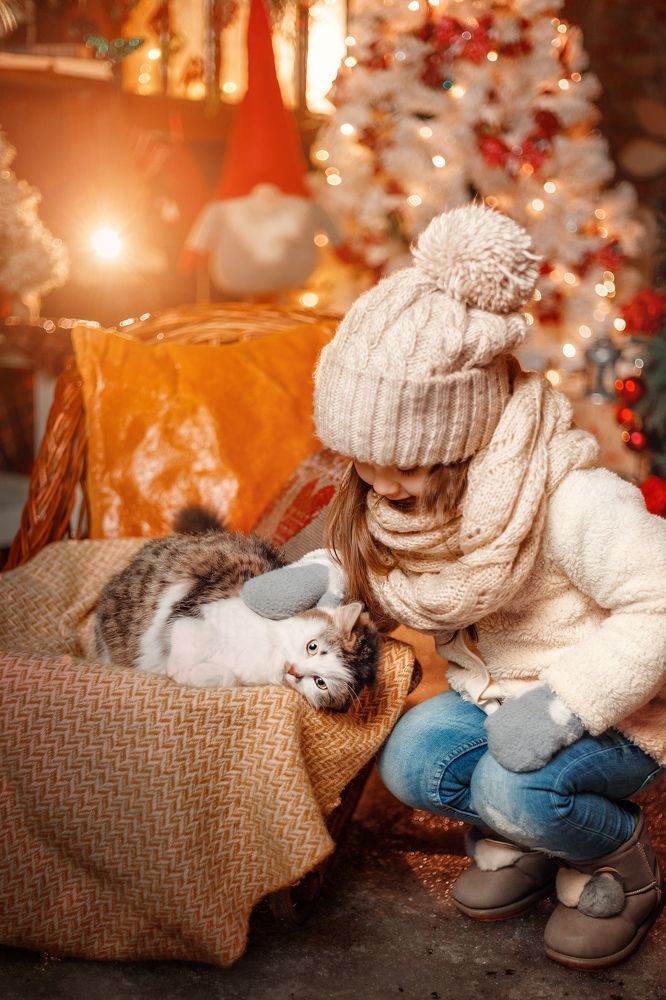 Фотография автора Валентина Балышева