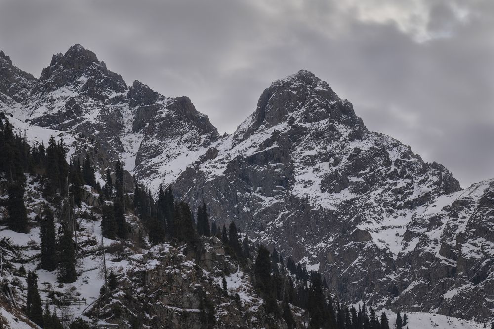Фотография автора Наталья Яковлева