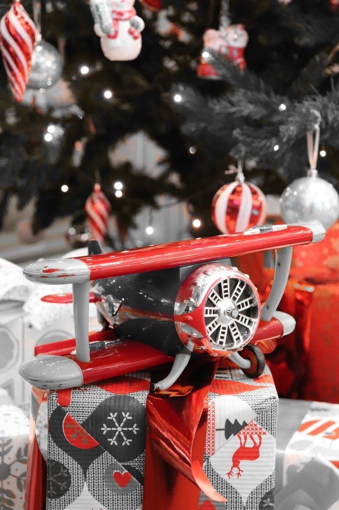 Фотография автора Алексейчик Дмитрий