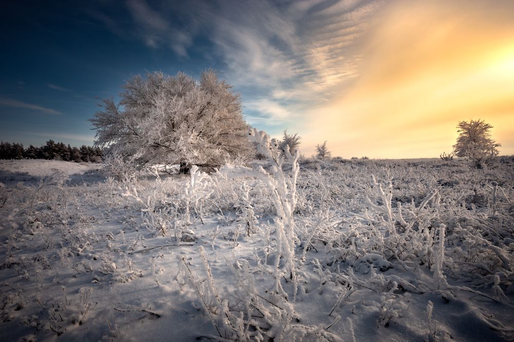 Photograph by Кобец Дмитрий