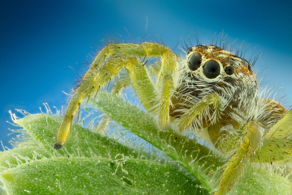 Photograph by Hardy Vargas Vasquez