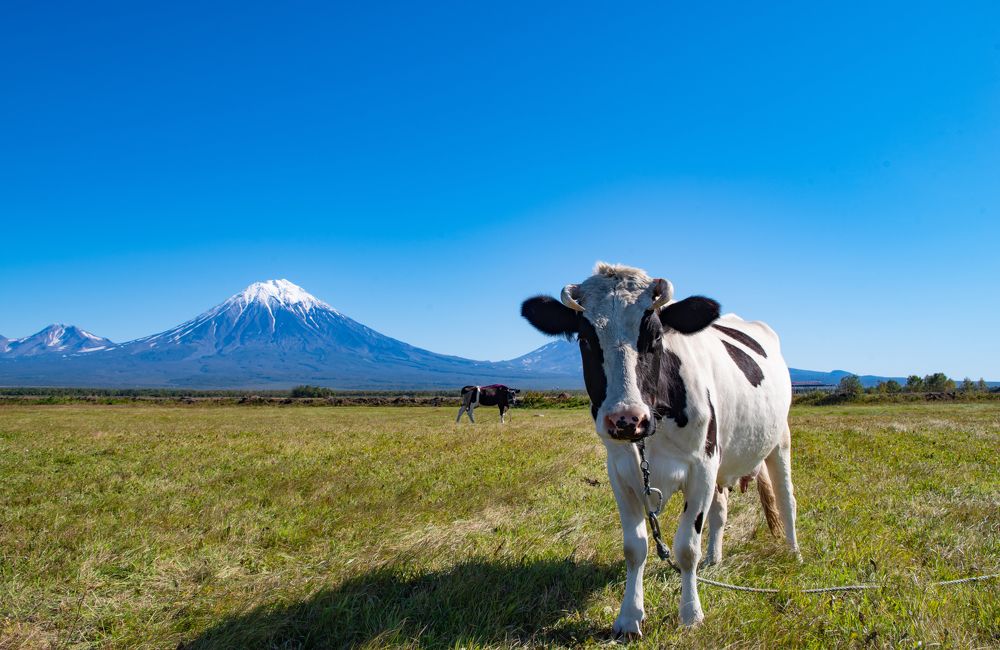 Photograph by Николай Фонарёв