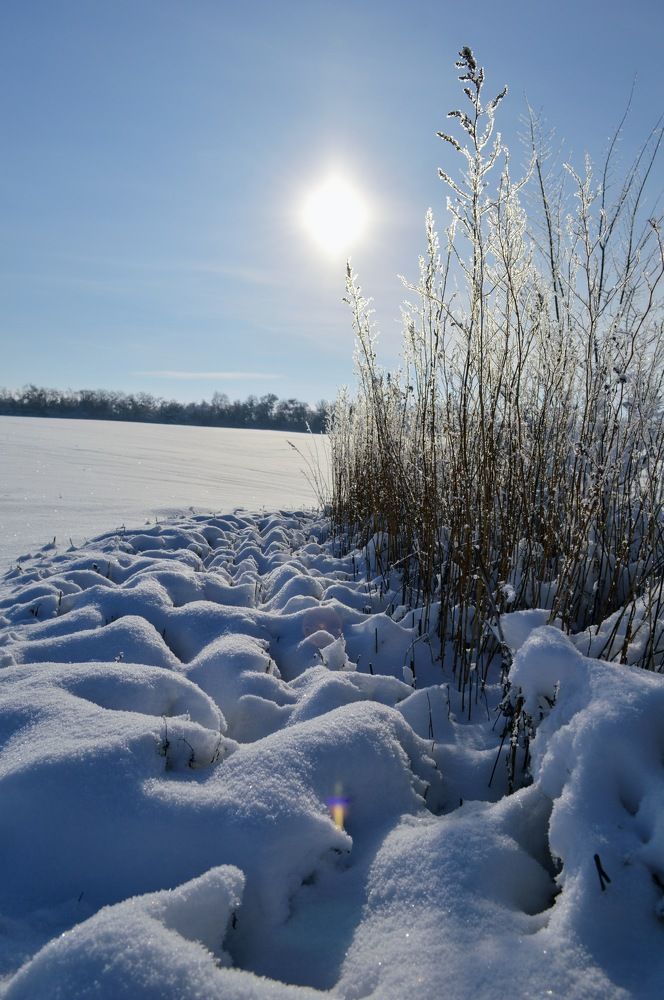 Photograph by Мхитарян Карен