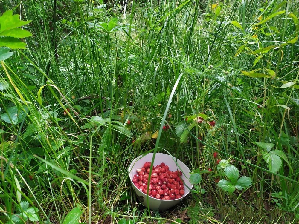 Photograph by Виктория