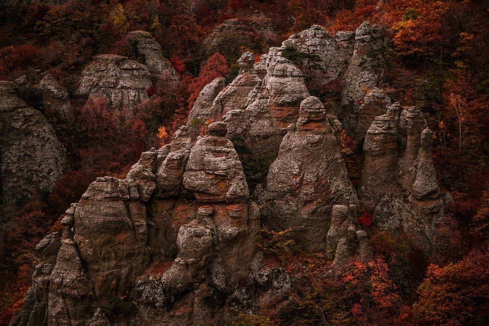 Photograph by Alla Fedina