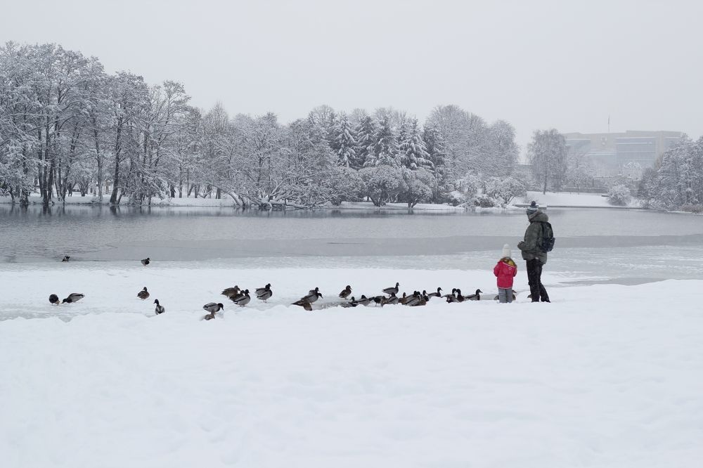 Photograph by Ksenya Loboda