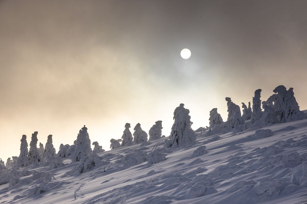 Photograph by Denisa Miazdrová