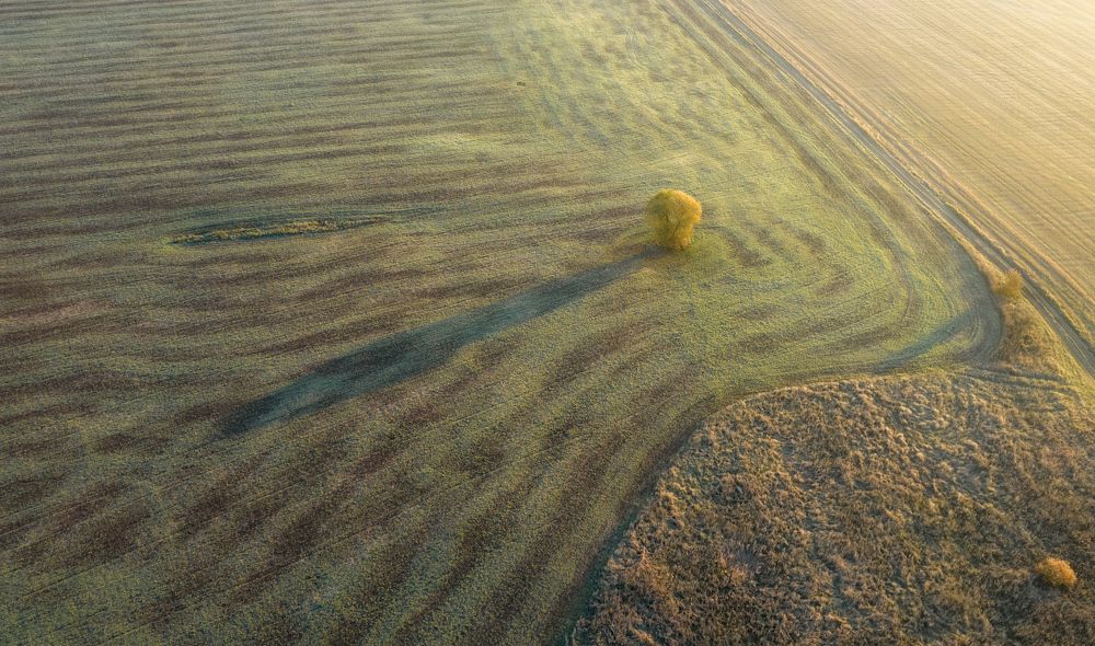 Photograph by Павел Трефилов