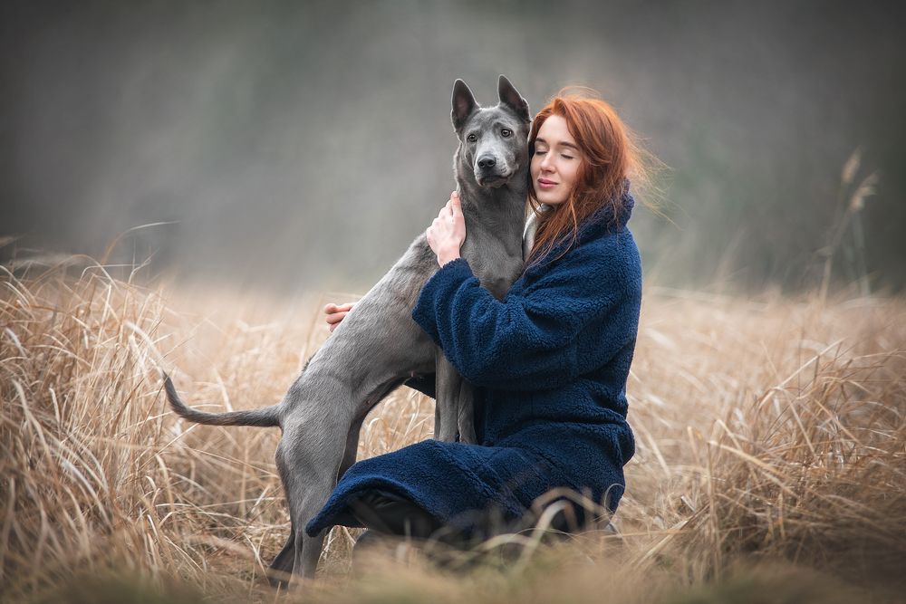 Photograph by Анна Вильховая