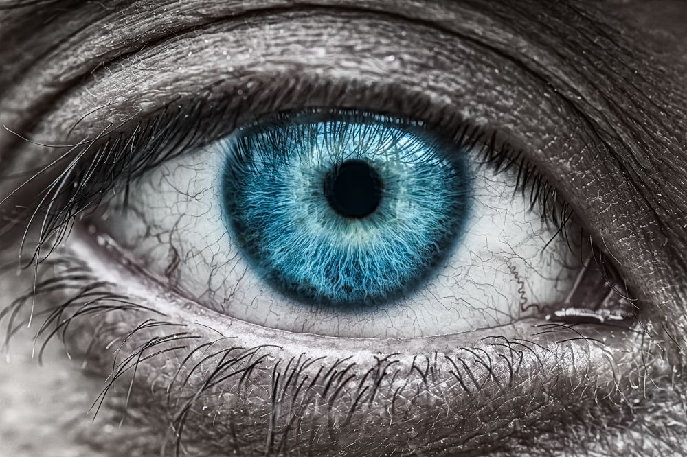 Photograph by Soheil Shahbazi