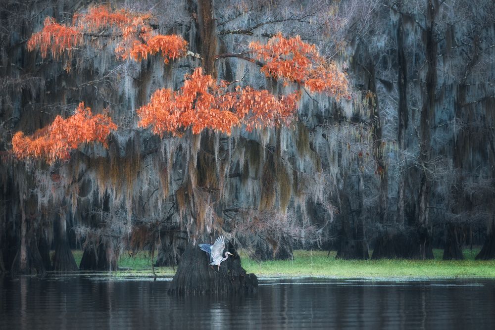 Фотография автора Aidong Ning