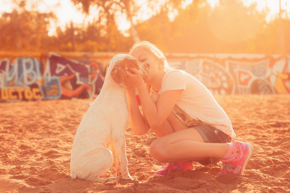 Фотография автора Анна Вильховая