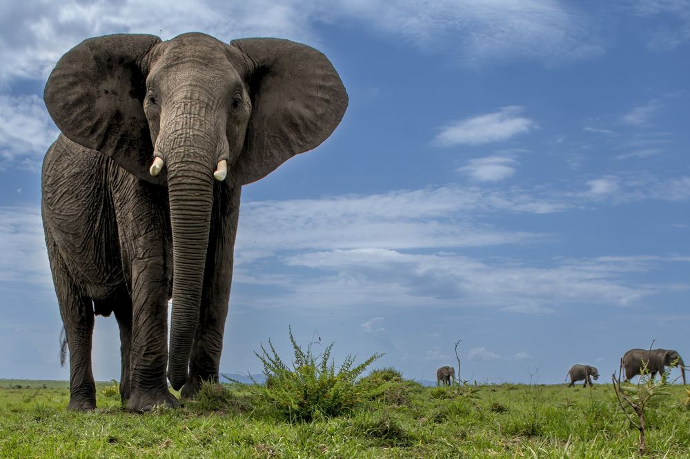 Photograph by Dilip Shah