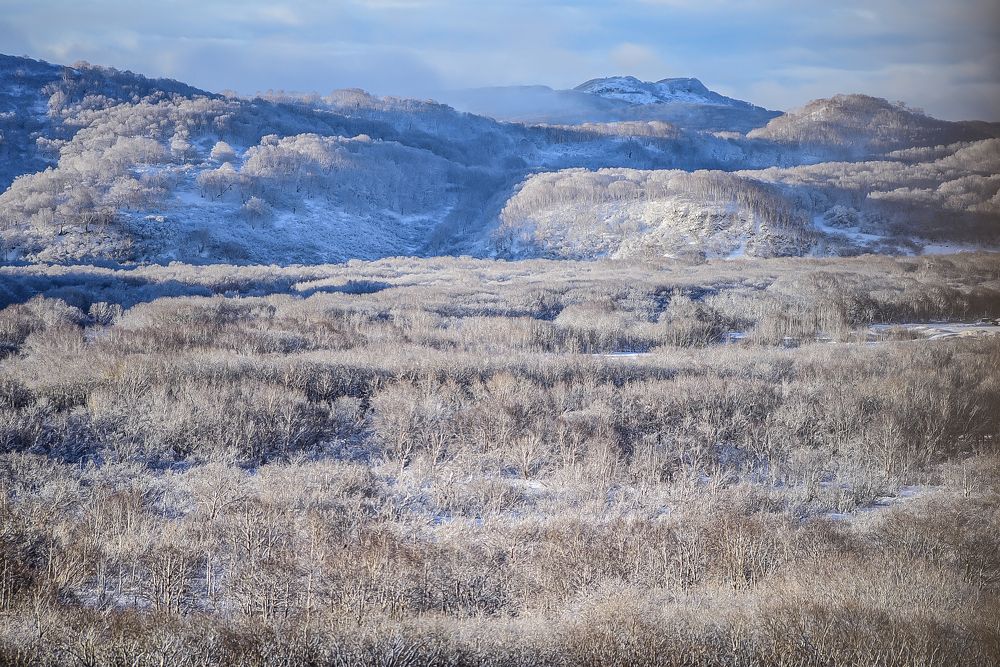 Photograph by Ольга Логвинец