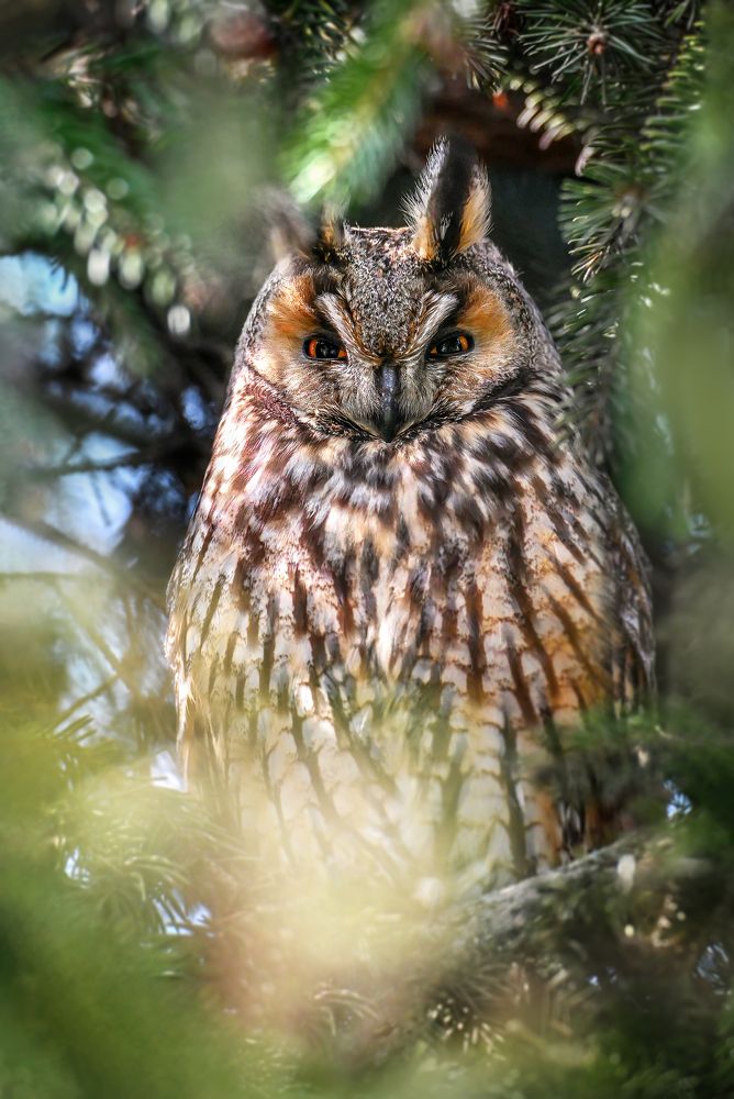 Photograph by Чернобай Анна