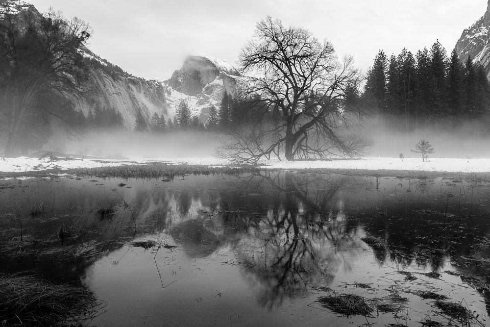 Фотография автора Robert Welsted