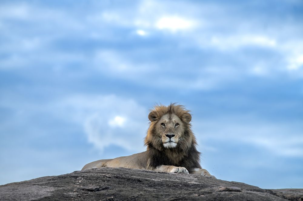 Photograph by Dilip Shah