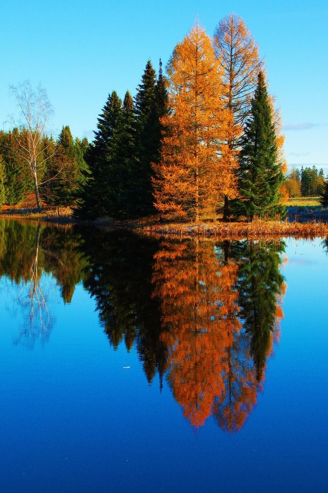 Photograph by Mati Puum