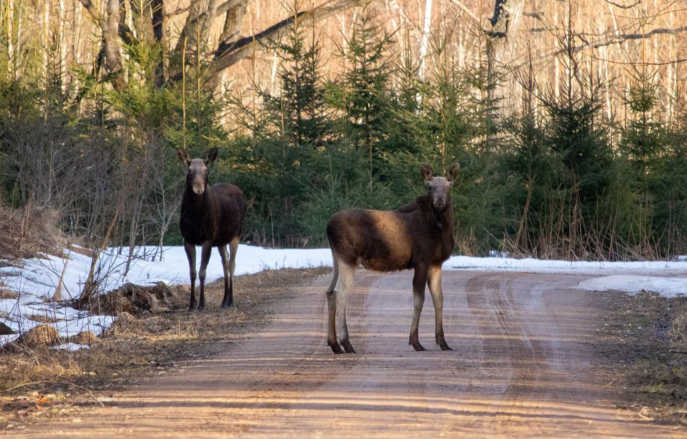 Photograph by Iveta Marchenoka