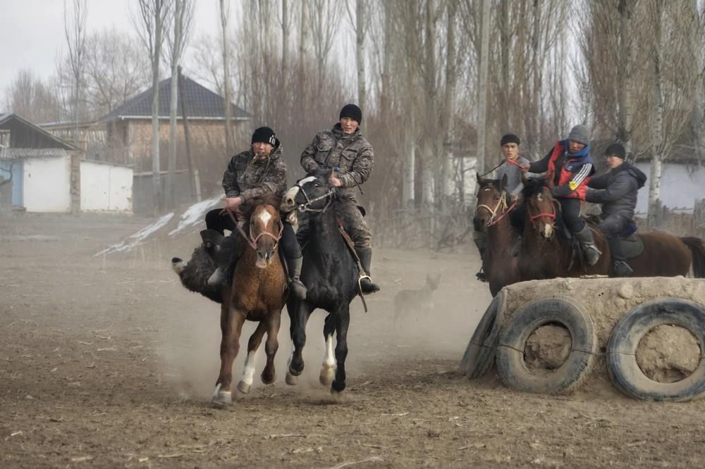 Photograph by Владимир Кочадыков