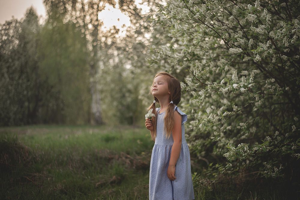 Черемуховая весна