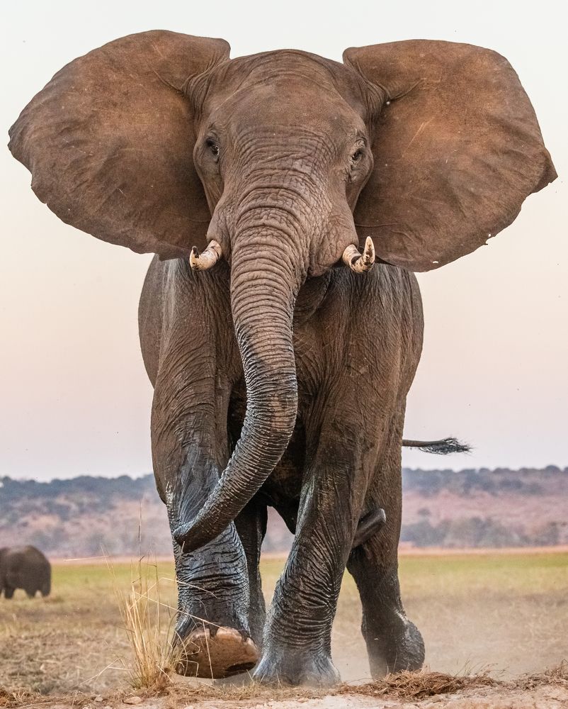 Photograph by Antonio Orfao