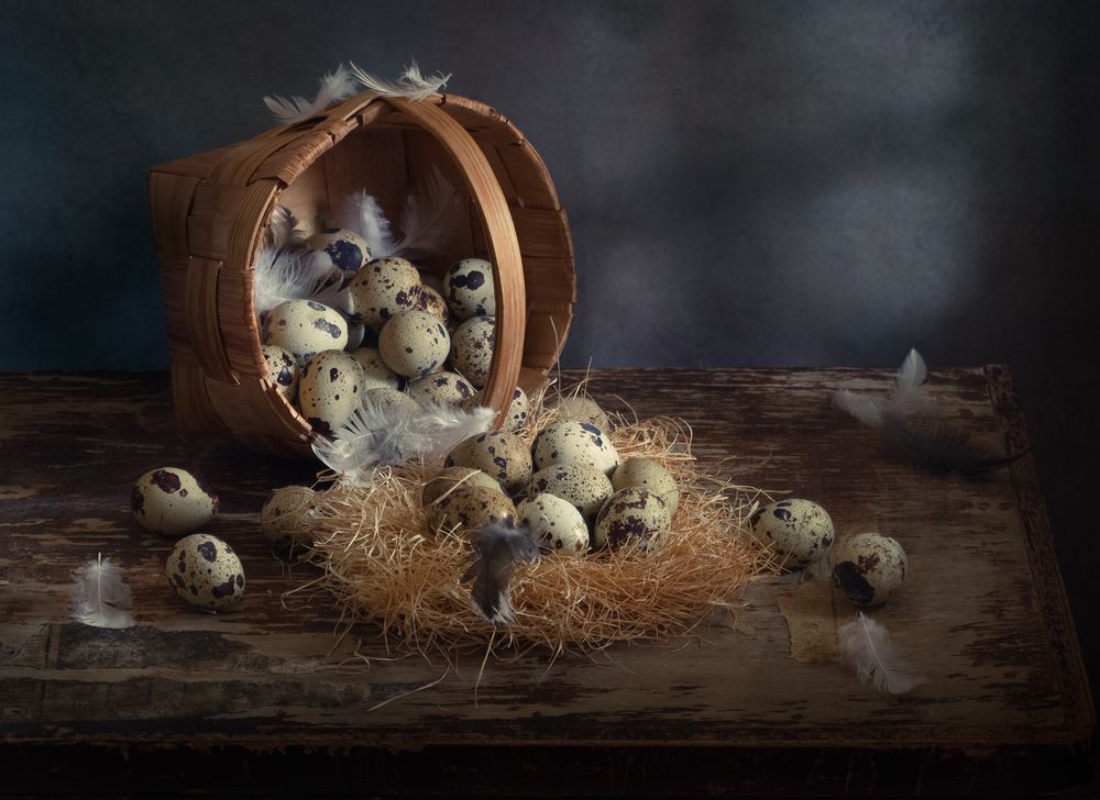 Photograph by Елена Рубинская