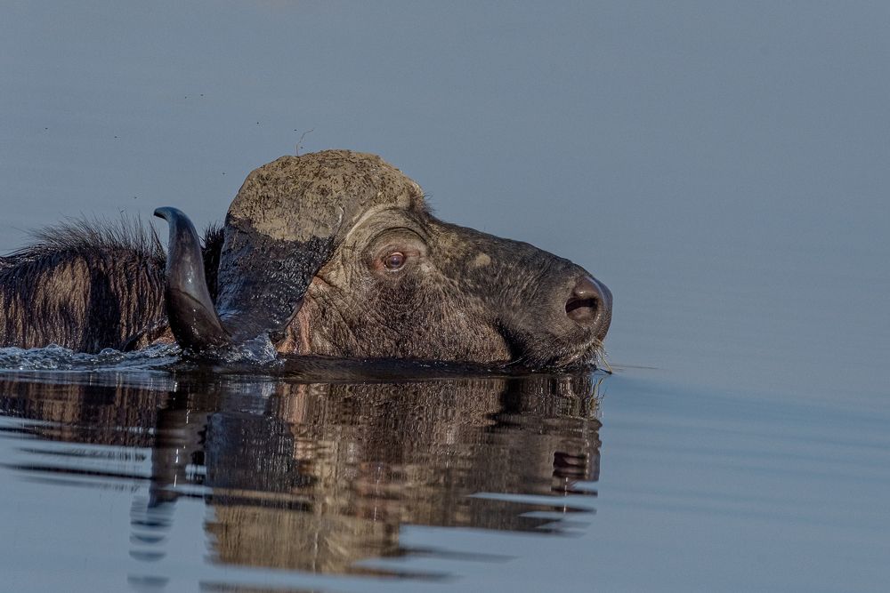 Photograph by Antonio Orfao