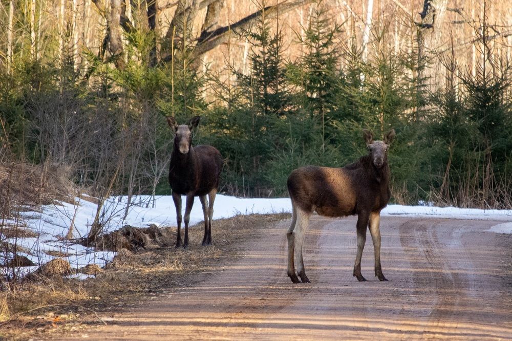 Photograph by Iveta Marchenoka