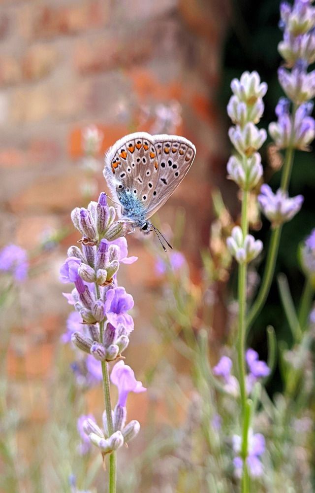 Фотография автора Наталья Синицына
