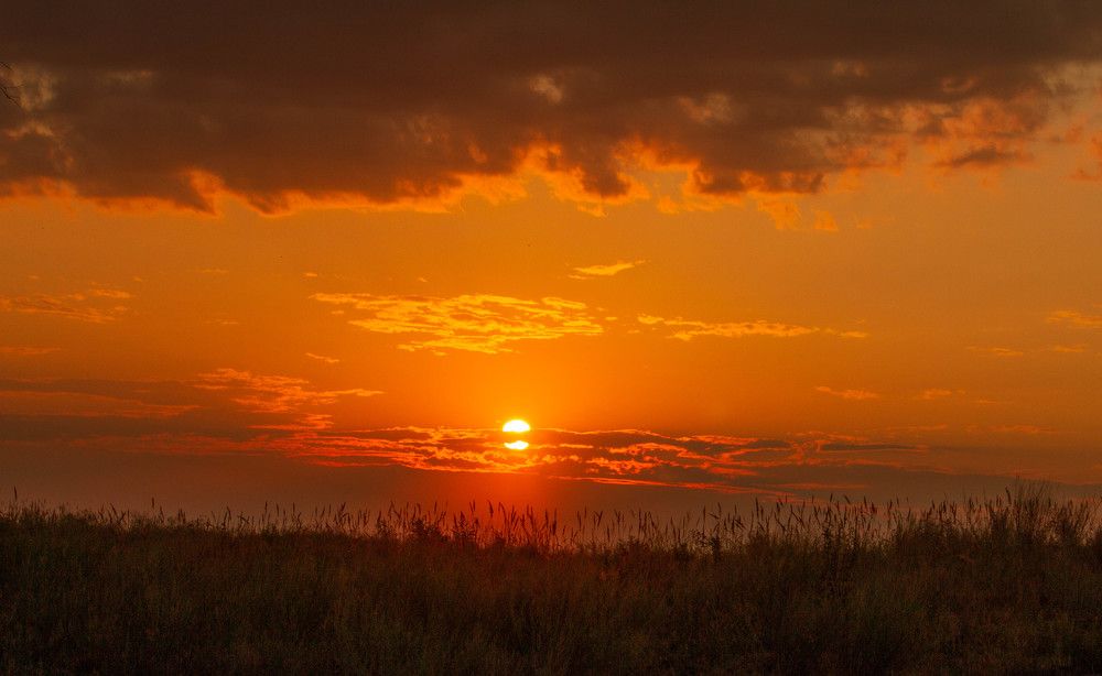 Фотография автора Тимофеев Алексей