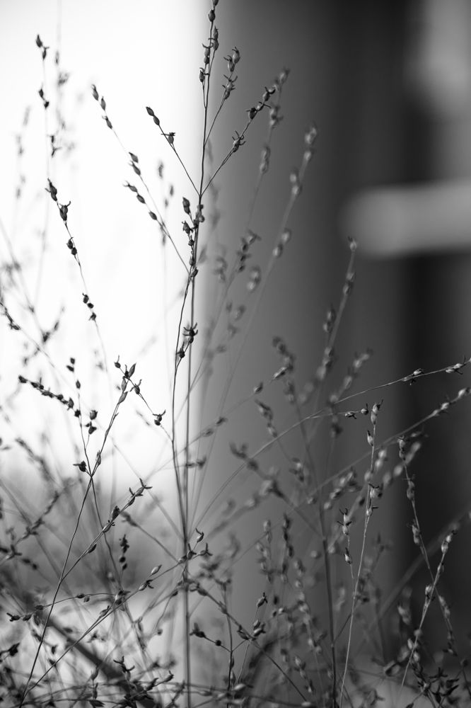 Photograph by Илья Пономарев