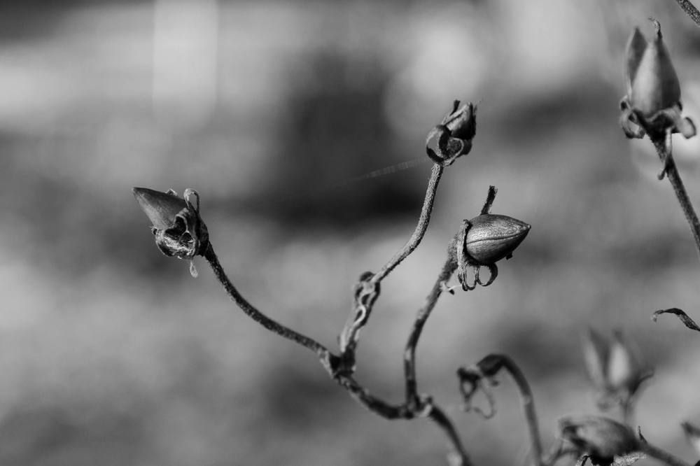 Photograph by Олеся Кузнецова