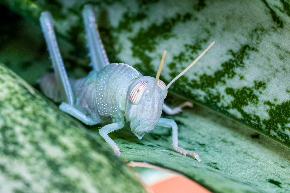 Photograph by Игорь Калинин